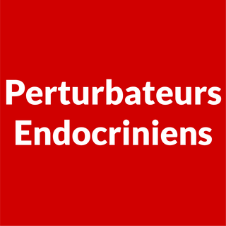 Perturbateurs endocriniens interdits chez Rose & Jules